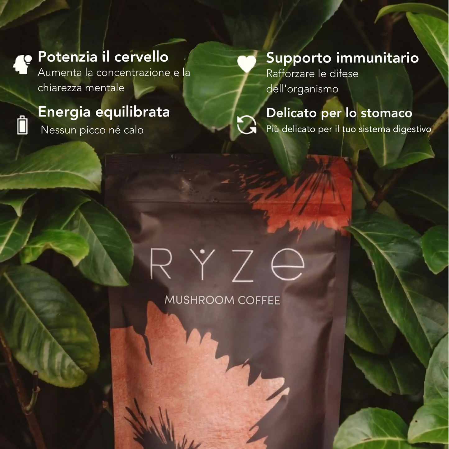 Kinoko Caffè ai Funghi