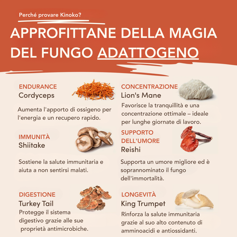 Caffè ai Funghi
