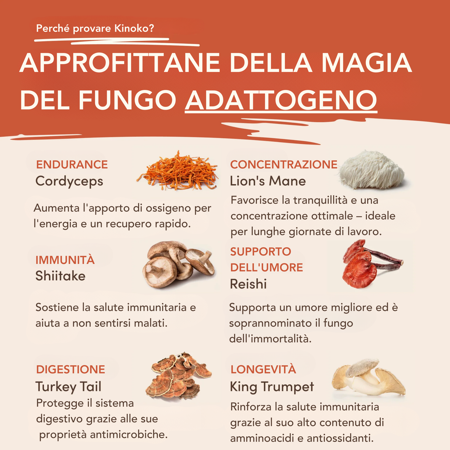 Kinoko Caffè ai Funghi