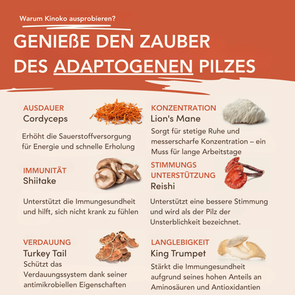 Original Pilzkaffee