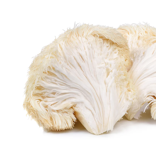 Lion's Mane